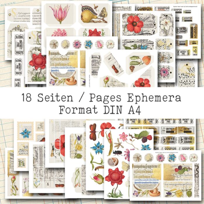 Natur und Schrift, 18 Seiten, Ephemera-Set [Digital] – Bild 2