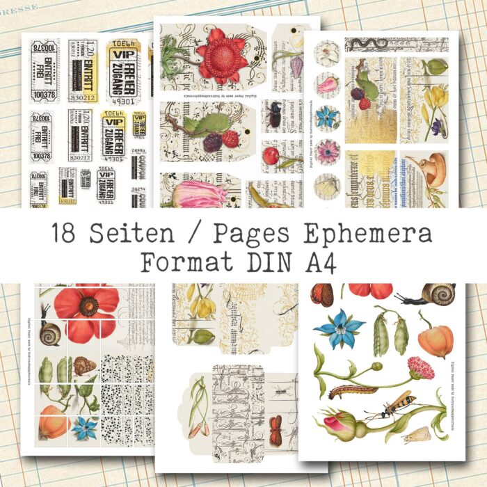 Natur und Schrift, 18 Seiten, Ephemera-Set [Digital] – Bild 4