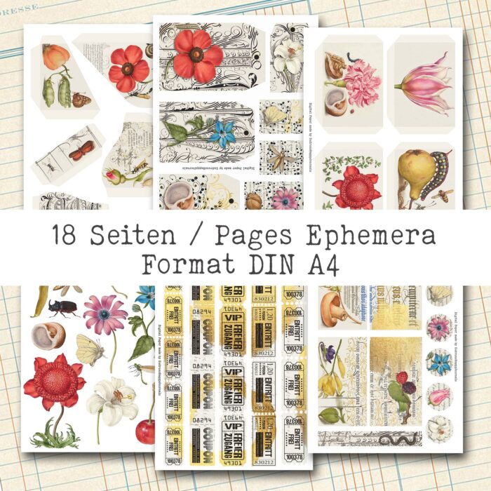 Natur und Schrift, 18 Seiten, Ephemera-Set [Digital] – Bild 5