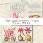 Natur und Schrift, Bundle, 29 Seiten [Digital] – Bild 17