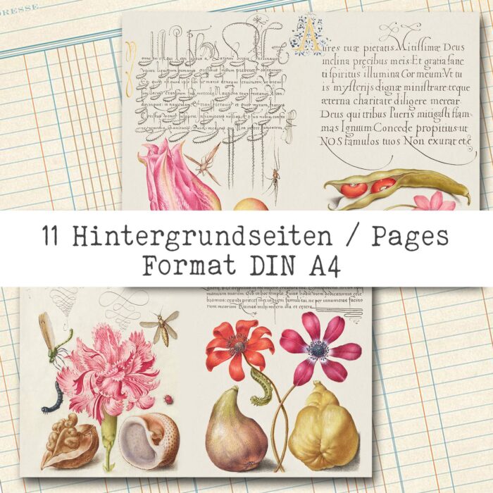 Natur und Schrift, Bundle, 29 Seiten [Digital] – Bild 17