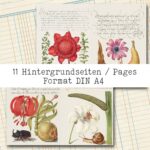 Natur und Schrift, Bundle, 29 Seiten [Digital] – Bild 16