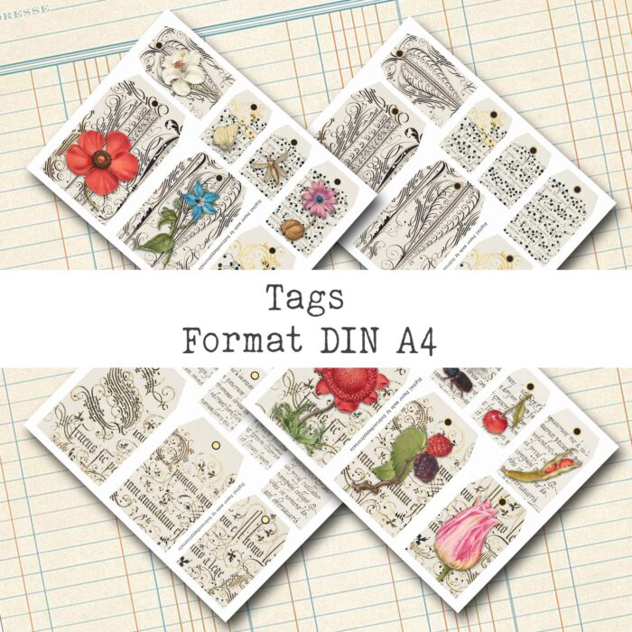 Natur und Schrift, 18 Seiten, Ephemera-Set [Digital] – Bild 7