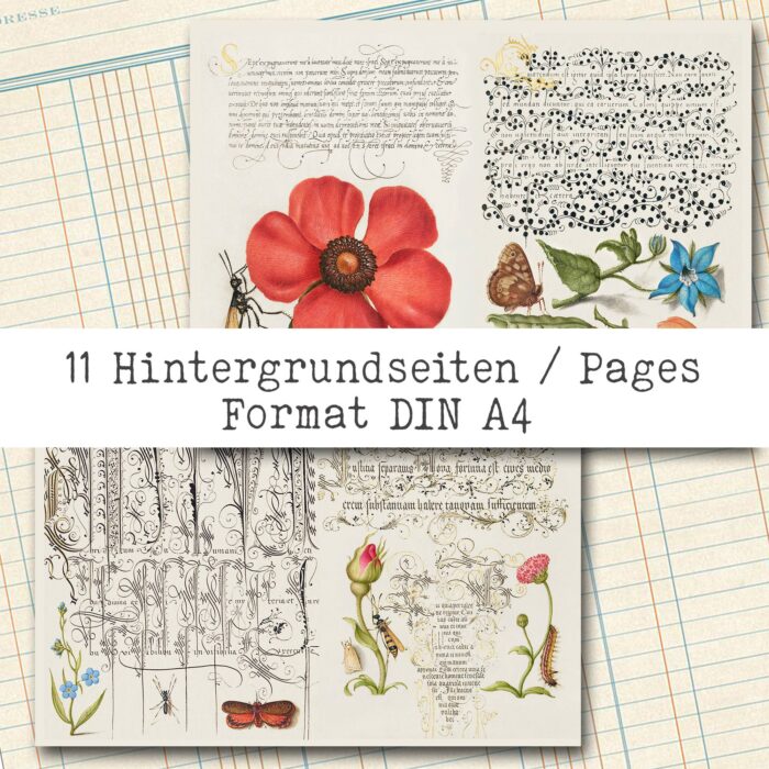 Natur und Schrift, Bundle, 29 Seiten [Digital] – Bild 15