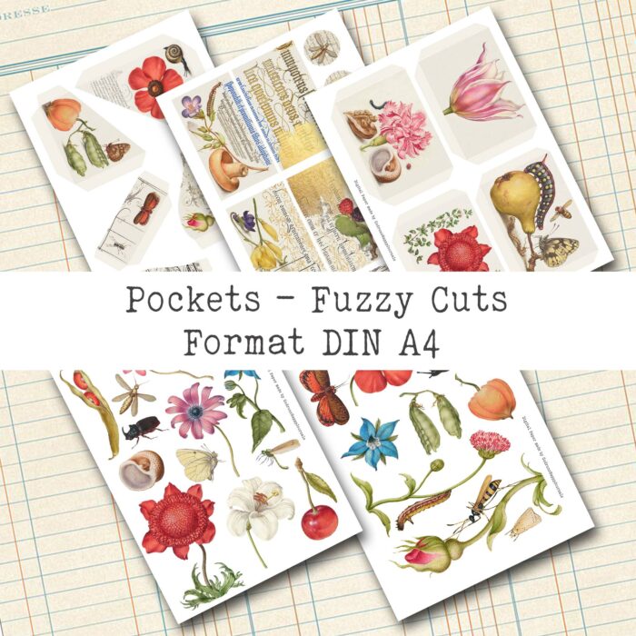 Natur und Schrift, 18 Seiten, Ephemera-Set [Digital] – Bild 9