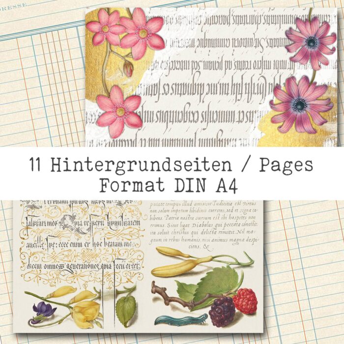 Natur und Schrift, Bundle, 29 Seiten [Digital] – Bild 13