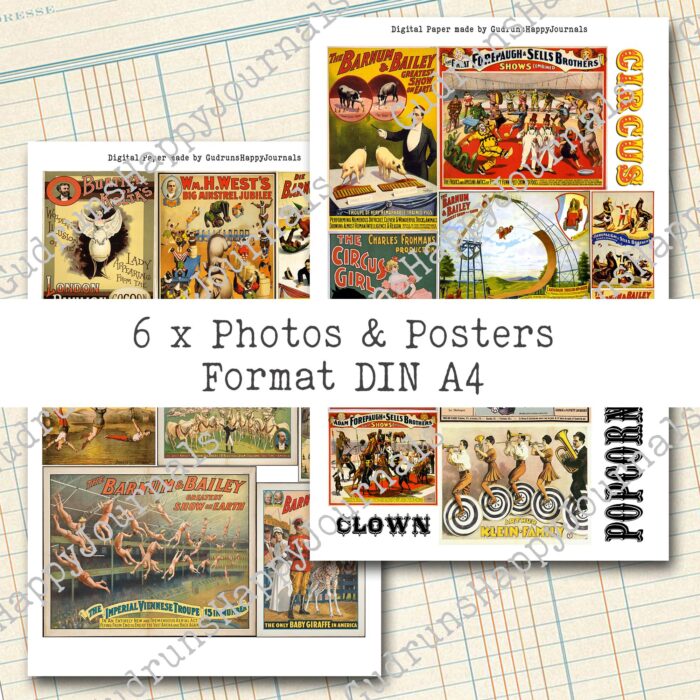 Manege frei - Der Zirkus kommt, 6 Seiten, Fotos & Poster [Digital] – Bild 5