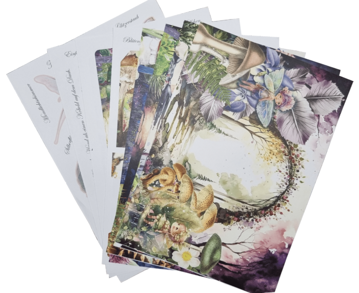 Woodland Fairies - Buch – Bild 3