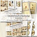 Insektenforschung, Bundle, 32 Seiten [Digital]
