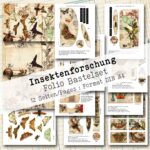 Insektenforschung, Folio Bastelset, 12 Seiten [Digital]