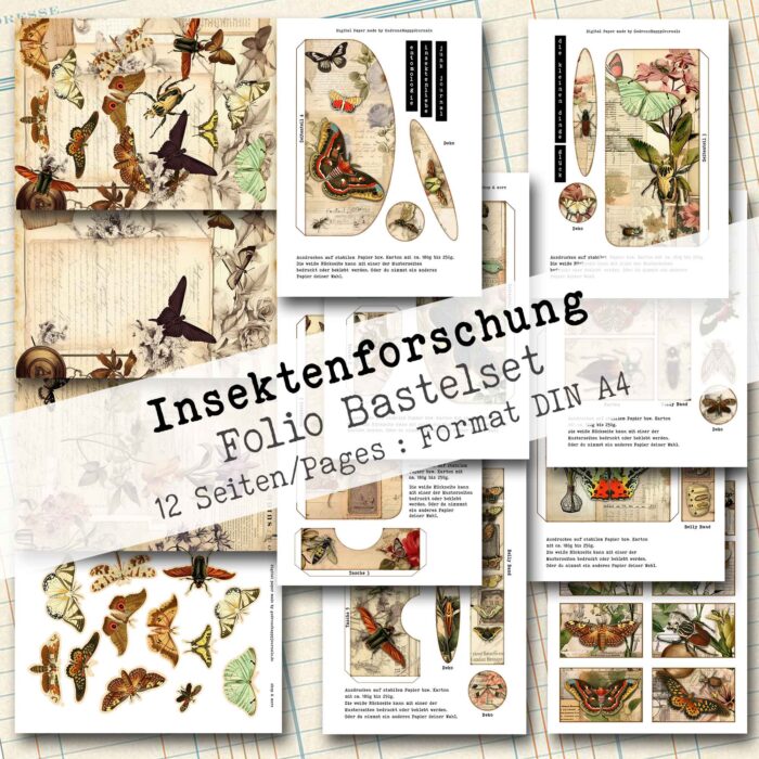 Insektenforschung, Bundle, 32 Seiten [Digital] – Bild 2