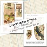 Insektenforschung, Folio Bastelset, 12 Seiten [Digital] – Bild 9