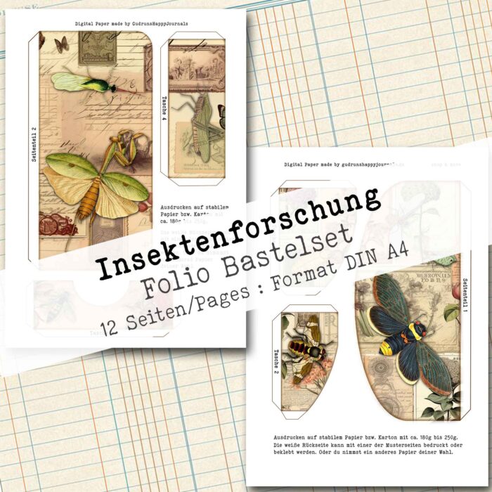 Insektenforschung, Folio Bastelset, 12 Seiten [Digital] – Bild 9