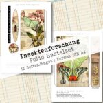 Insektenforschung, Folio Bastelset, 12 Seiten [Digital] – Bild 8