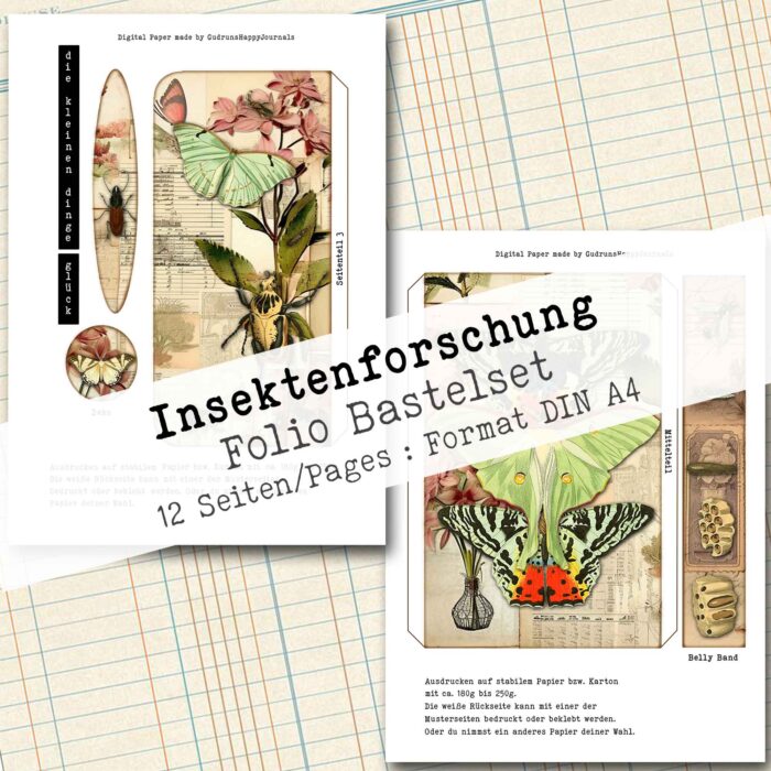 Insektenforschung, Folio Bastelset, 12 Seiten [Digital] – Bild 8