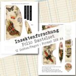 Insektenforschung, Folio Bastelset, 12 Seiten [Digital] – Bild 7