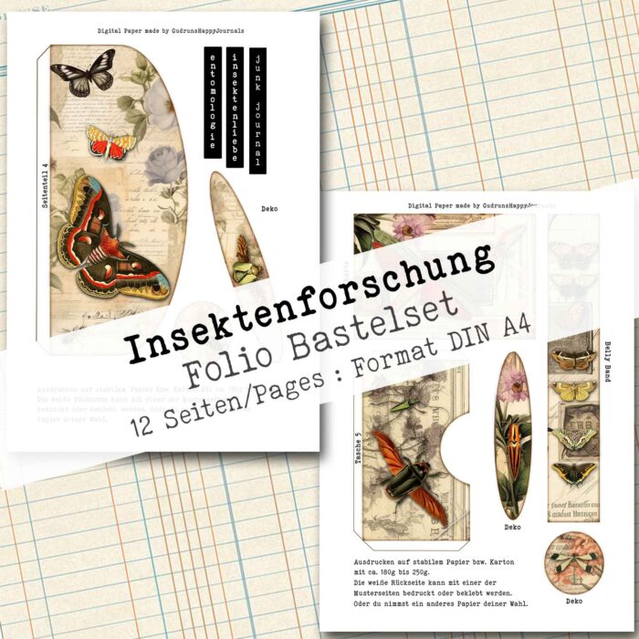 Insektenforschung, Folio Bastelset, 12 Seiten [Digital] – Bild 7