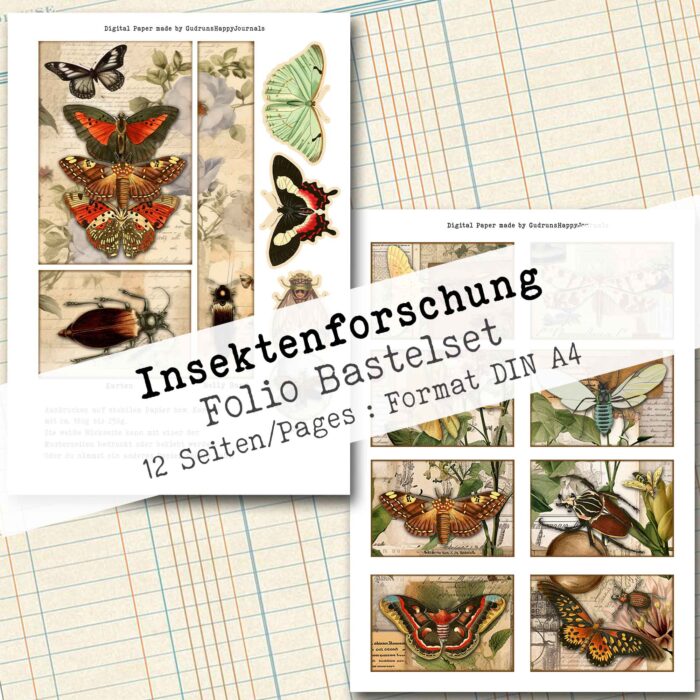 Insektenforschung, Folio Bastelset, 12 Seiten [Digital] – Bild 5