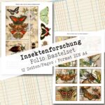 Insektenforschung, Folio Bastelset, 12 Seiten [Digital] – Bild 6