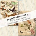 Insektenforschung, Folio Bastelset, 12 Seiten [Digital] – Bild 4