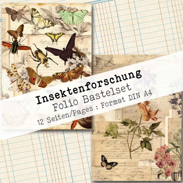Insektenforschung, Folio Bastelset, 12 Seiten [Digital] – Bild 4