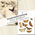 Insektenforschung, Folio Bastelset, 12 Seiten [Digital] – Bild 3