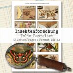Insektenforschung, Folio Bastelset, 12 Seiten [Digital] – Bild 2