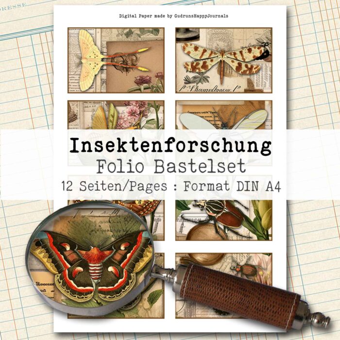 Insektenforschung, Folio Bastelset, 12 Seiten [Digital] – Bild 2