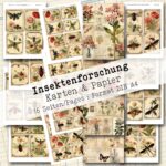 Insektenforschung, Karten & Papier, 16 Seiten [Digital]