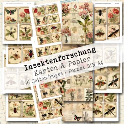 Insektenforschung, Karten & Papier, 16 Seiten [Digital]