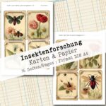Insektenforschung, Karten & Papier, 16 Seiten [Digital] – Bild 6