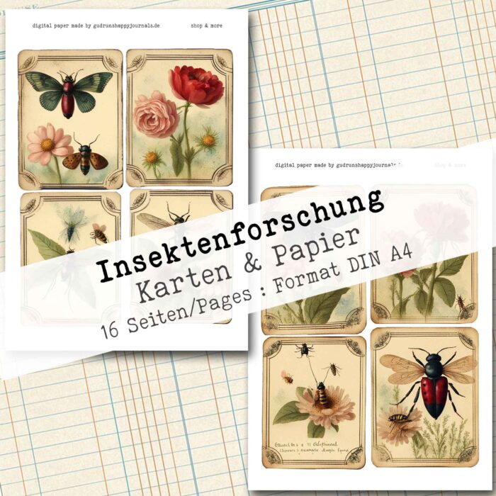 Insektenforschung, Karten & Papier, 16 Seiten [Digital] – Bild 6