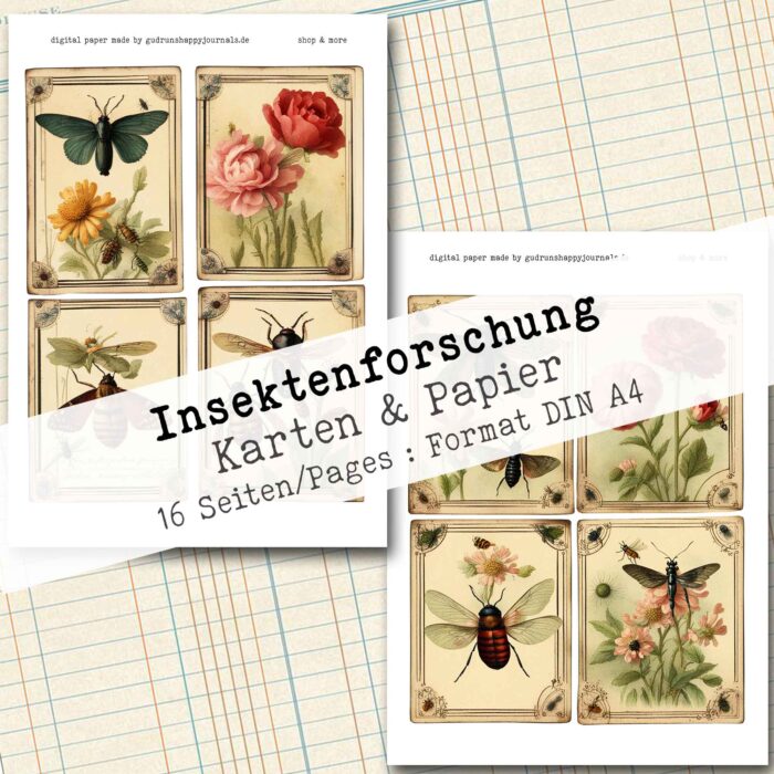 Insektenforschung, Karten & Papier, 16 Seiten [Digital] – Bild 5