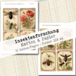 Insektenforschung, Karten & Papier, 16 Seiten [Digital] – Bild 4