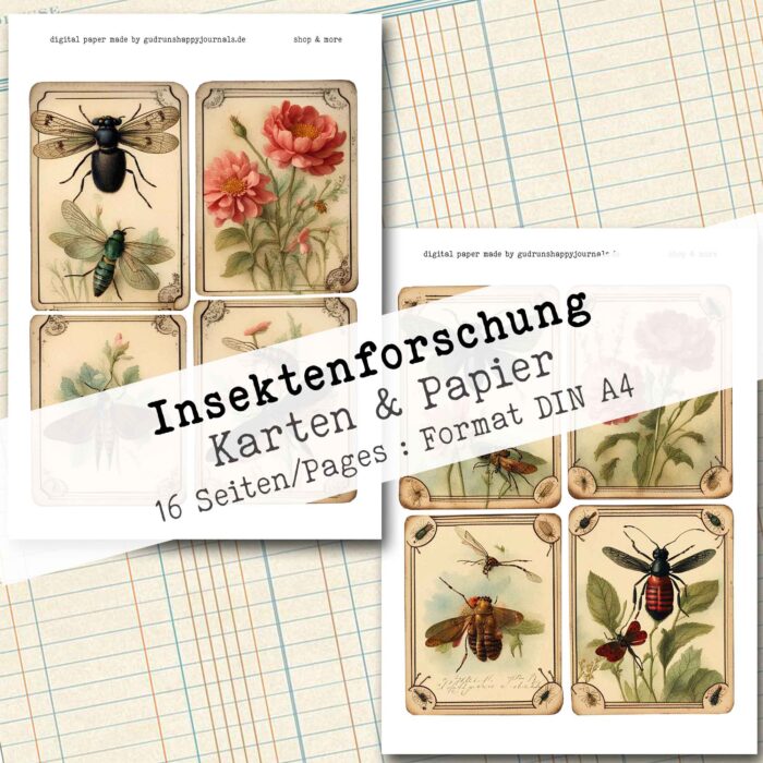 Insektenforschung, Karten & Papier, 16 Seiten [Digital] – Bild 4