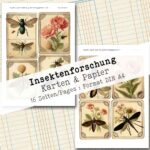 Insektenforschung, Karten & Papier, 16 Seiten [Digital] – Bild 3