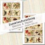 Insektenforschung, Karten & Papier, 16 Seiten [Digital] – Bild 10