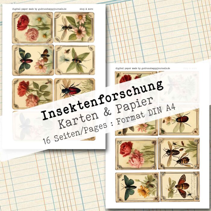 Insektenforschung, Karten & Papier, 16 Seiten [Digital] – Bild 10