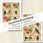 Insektenforschung, Karten & Papier, 16 Seiten [Digital] – Bild 9
