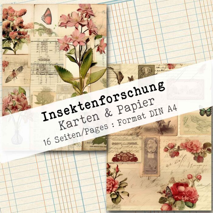 Insektenforschung, Karten & Papier, 16 Seiten [Digital] – Bild 7