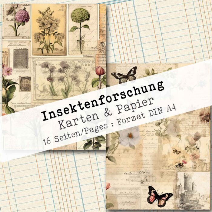 Insektenforschung, Karten & Papier, 16 Seiten [Digital] – Bild 8