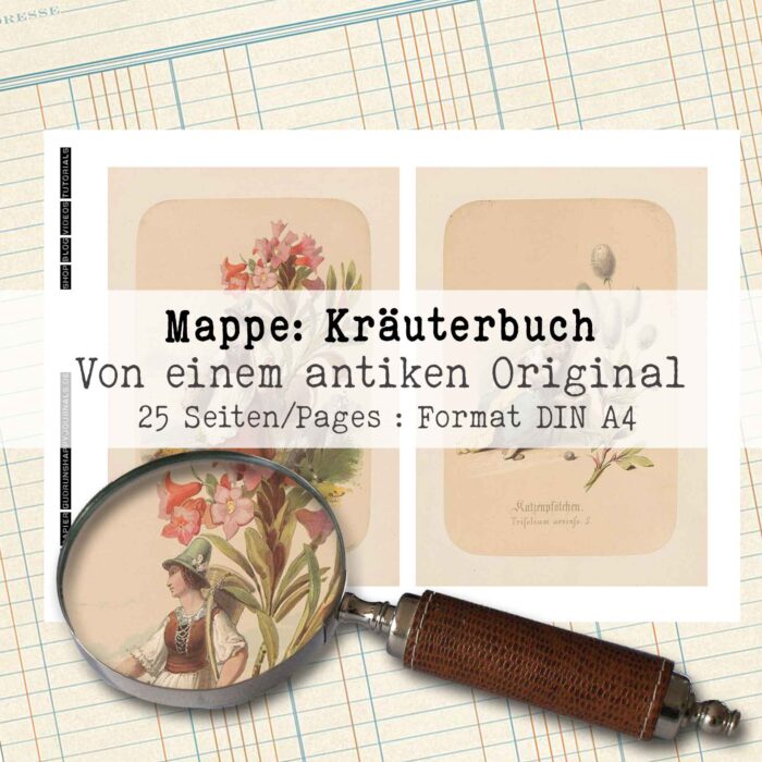 Mappe mit antiken Kräuteraquarellen in 2 Größen, 25 Seiten [Digital] – Bild 2