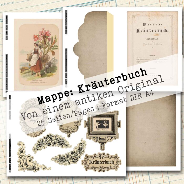 Mappe mit antiken Kräuteraquarellen in 2 Größen, 25 Seiten [Digital] – Bild 5