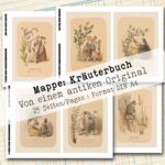 Mappe mit antiken Kräuteraquarellen in 2 Größen, 25 Seiten [Digital] – Bild 7