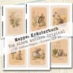 Mappe mit antiken Kräuteraquarellen in 2 Größen, 25 Seiten [Digital] – Bild 6