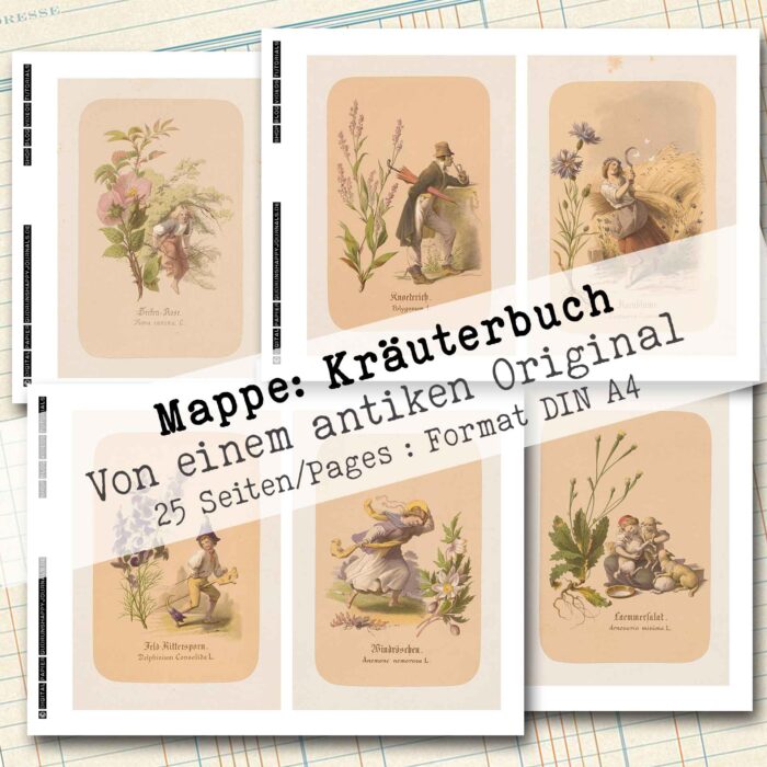 Mappe mit antiken Kräuteraquarellen in 2 Größen, 25 Seiten [Digital] – Bild 6