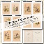 Mappe mit antiken Kräuteraquarellen in 2 Größen, 25 Seiten [Digital] – Bild 4