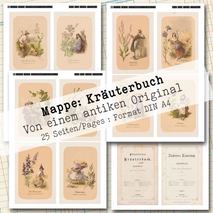 Mappe mit antiken Kräuteraquarellen in 2 Größen, 25 Seiten [Digital] – Bild 4
