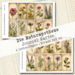 Die Naturapotheke, Journal Karten, 4 Seiten [Digital] – Bild 4