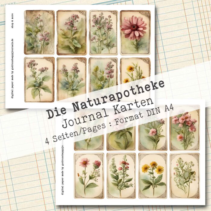 Die Naturapotheke, Journal Karten, 4 Seiten [Digital] – Bild 3